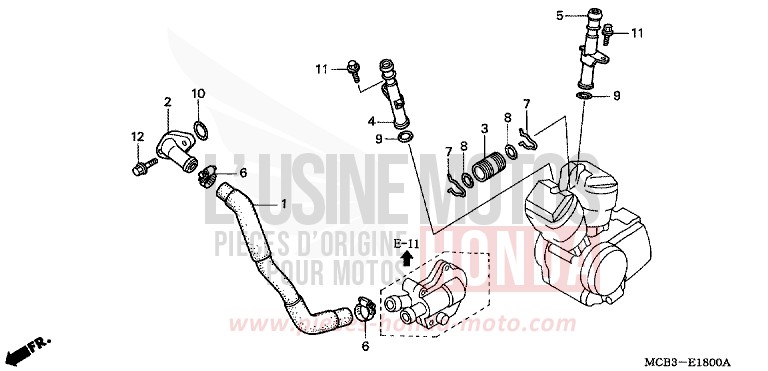 WATER PIPE for Transalp 650 MOODY BLUE METALLIC (PB296) from 2001